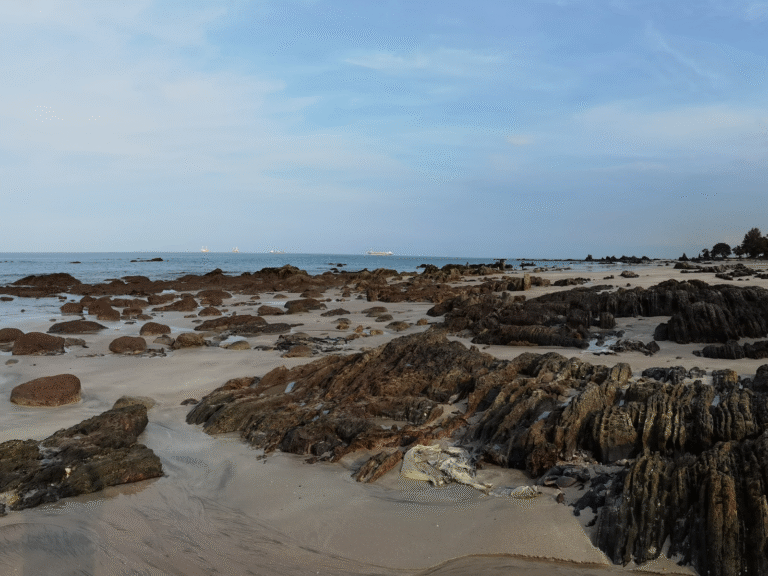 DESARU BEACHLIFE & TIDEPOOL DISCOVERY