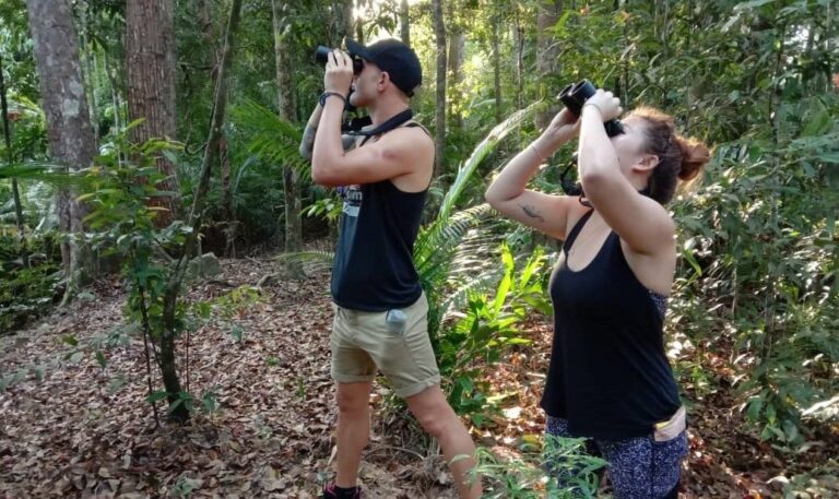 DESARU COAST BIRDWATCHING