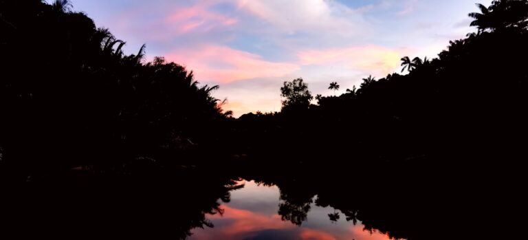 MANGROVE AFTERDARK & FIREFLY CRUISE