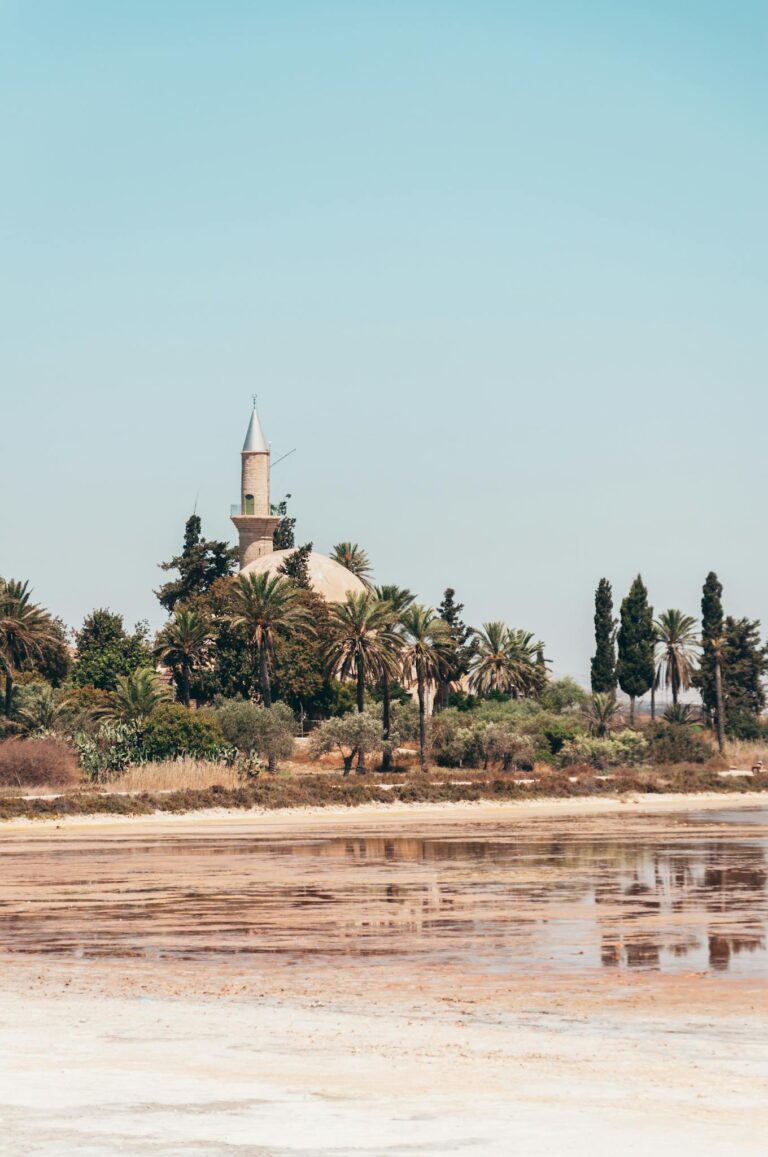 A picturesque mosque with a minaret surrounded by palm trees under a clear blue sky.