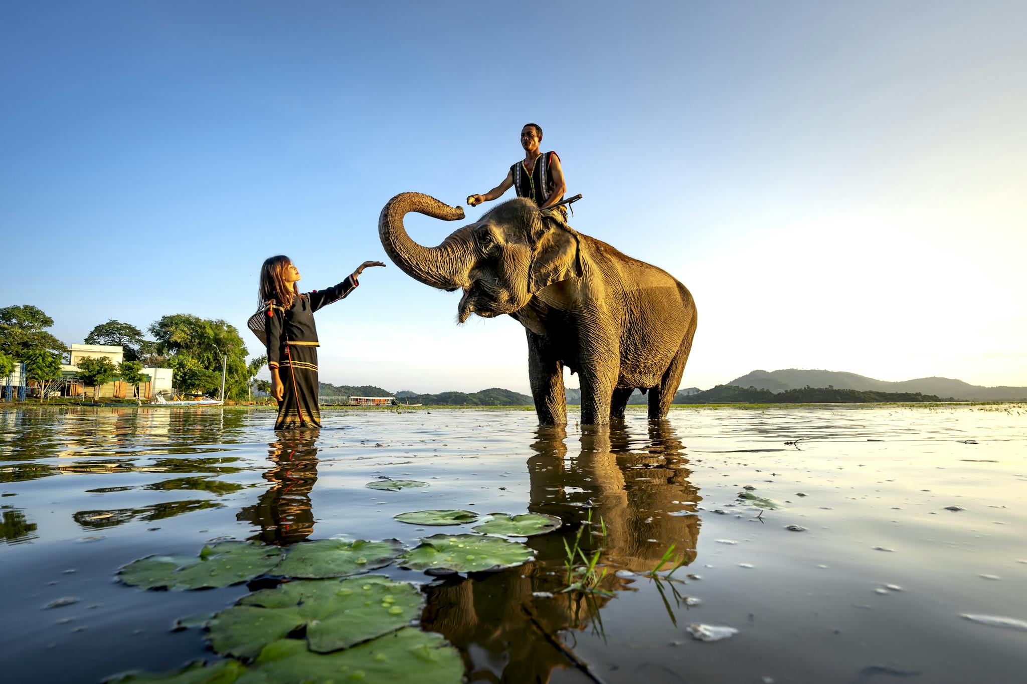 A serene scene of a man on an elephant and a woman in water during sunset.