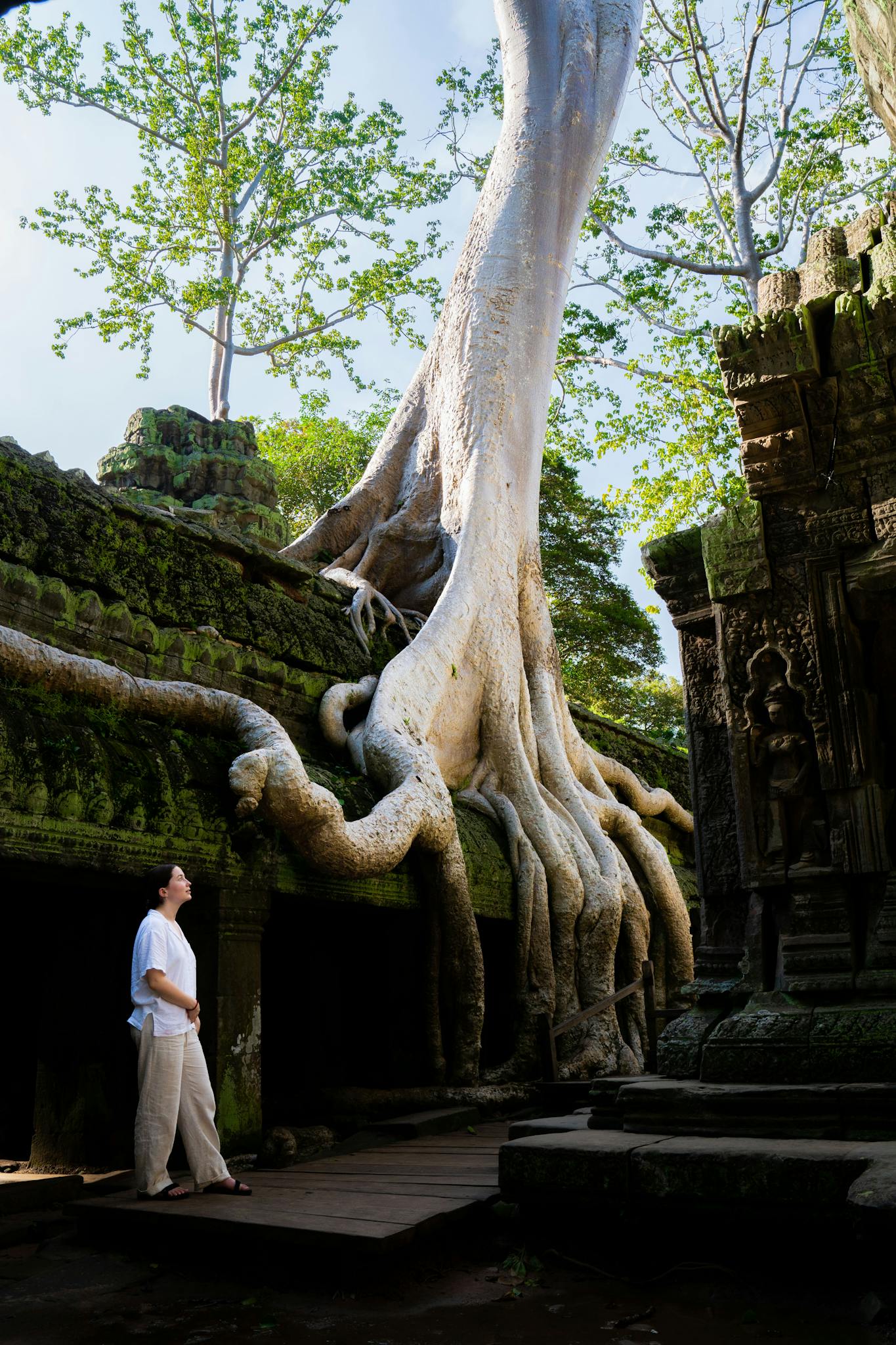 Explore the intertwined roots and ancient ruins of Ta Prohm Temple in Siem Reap, Cambodia.