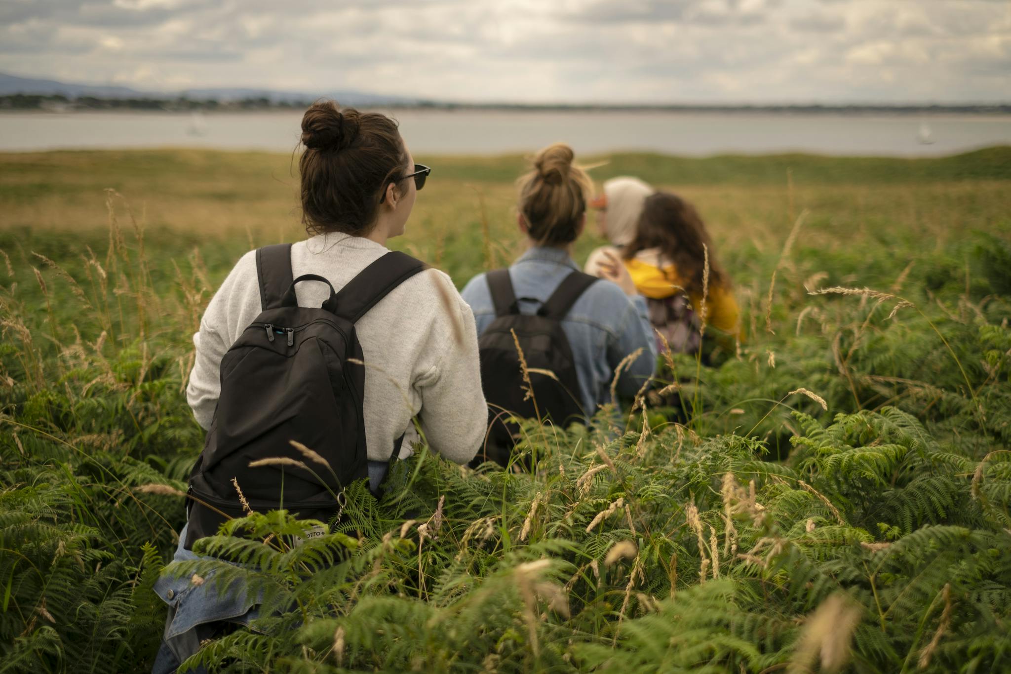 Group of people hiking through lush ferns near a coastal area in County Dublin, Ireland.