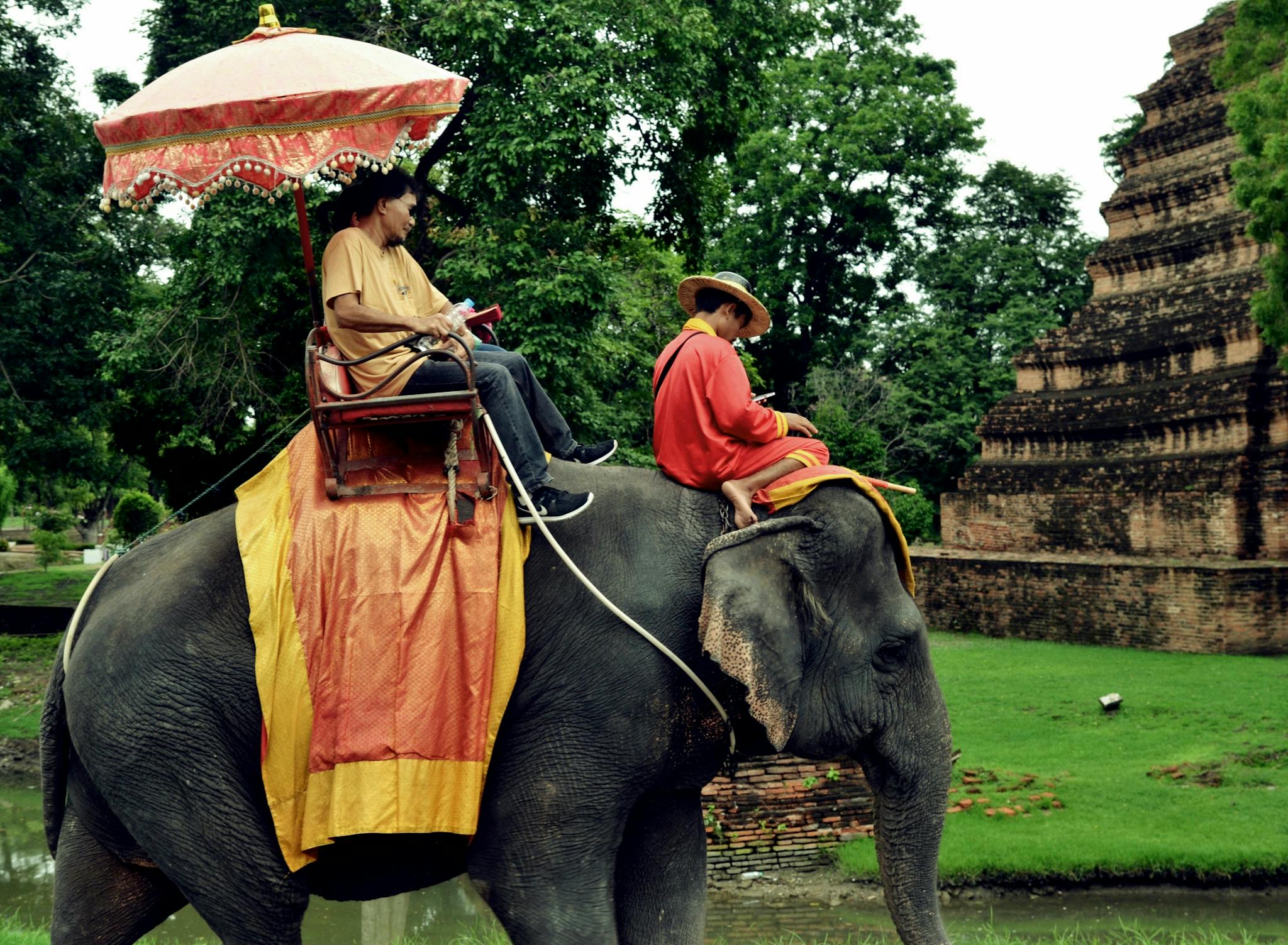 Tourists enjoying an elephant ride at Ayutthaya Historical Park in Thailand, showcasing Thai culture.