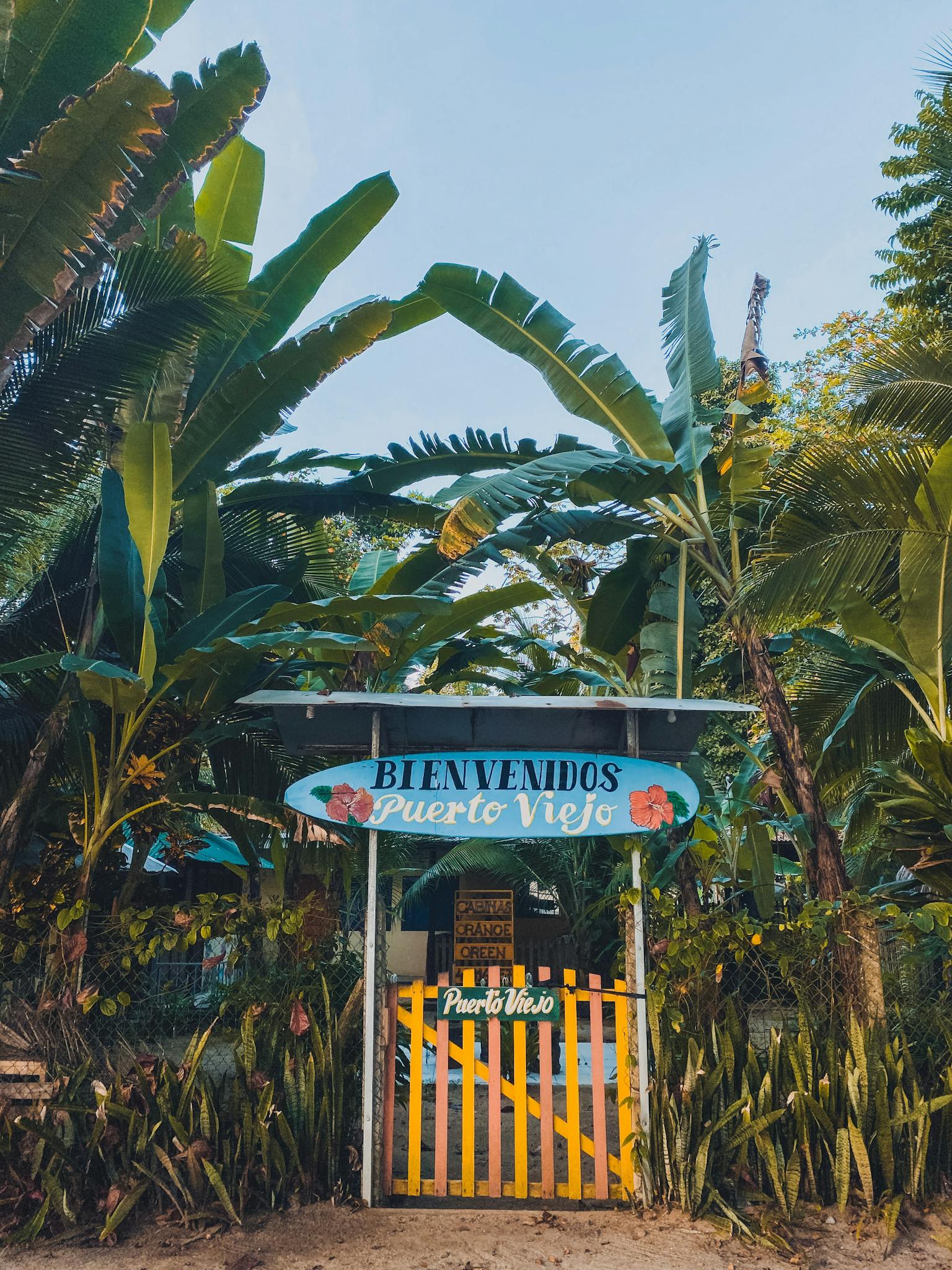 Tropical gateway welcoming visitors to Puerto Viejo, Costa Rica, framed by lush banana plants.